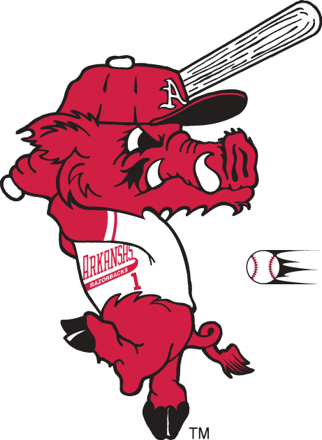 Arkansas Razorbacks 2001-Pres Mascot Logo diy iron on heat transfer